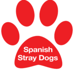 spanish stray dogs